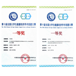 公司学子在第十届全国老员工能源经济学术创意大赛总决赛中喜获佳绩